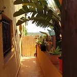 L'arboc