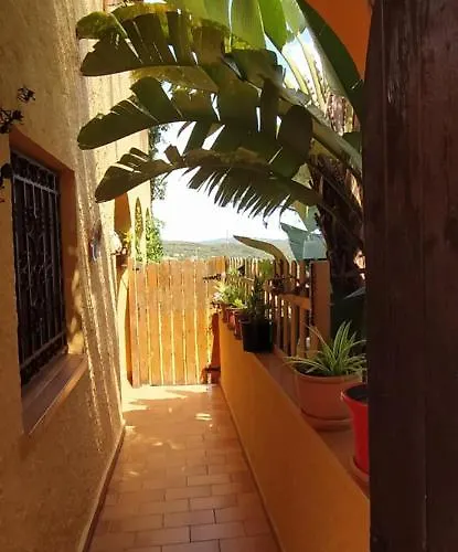 L'arboc