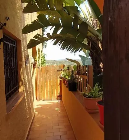 L'arboc